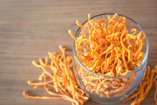 The Cordyceps Mushroom